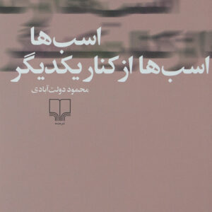 اسب ها اسب ها از کنار یکدیگر