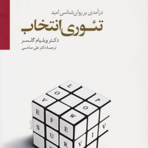 تئوری انتخاب