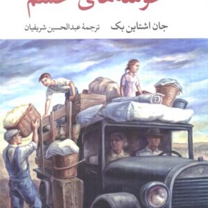 خوشه های خشم